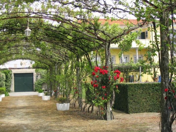 Casa/Apartamento De Hospedes Виана-ду-Каштелу Экстерьер фото